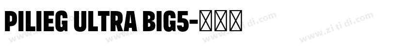 PiliEG Ultra Big5字体转换 PiliEG Ultra Big5字体转换